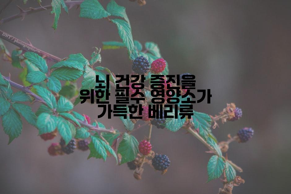 뇌 건강 증진을 위한 필수 영양소가 가득한 베리류