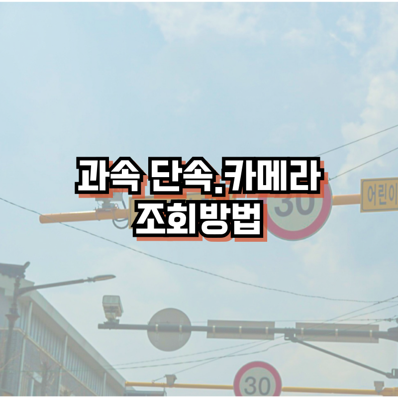 과속단속&middot;카메라 조회방법