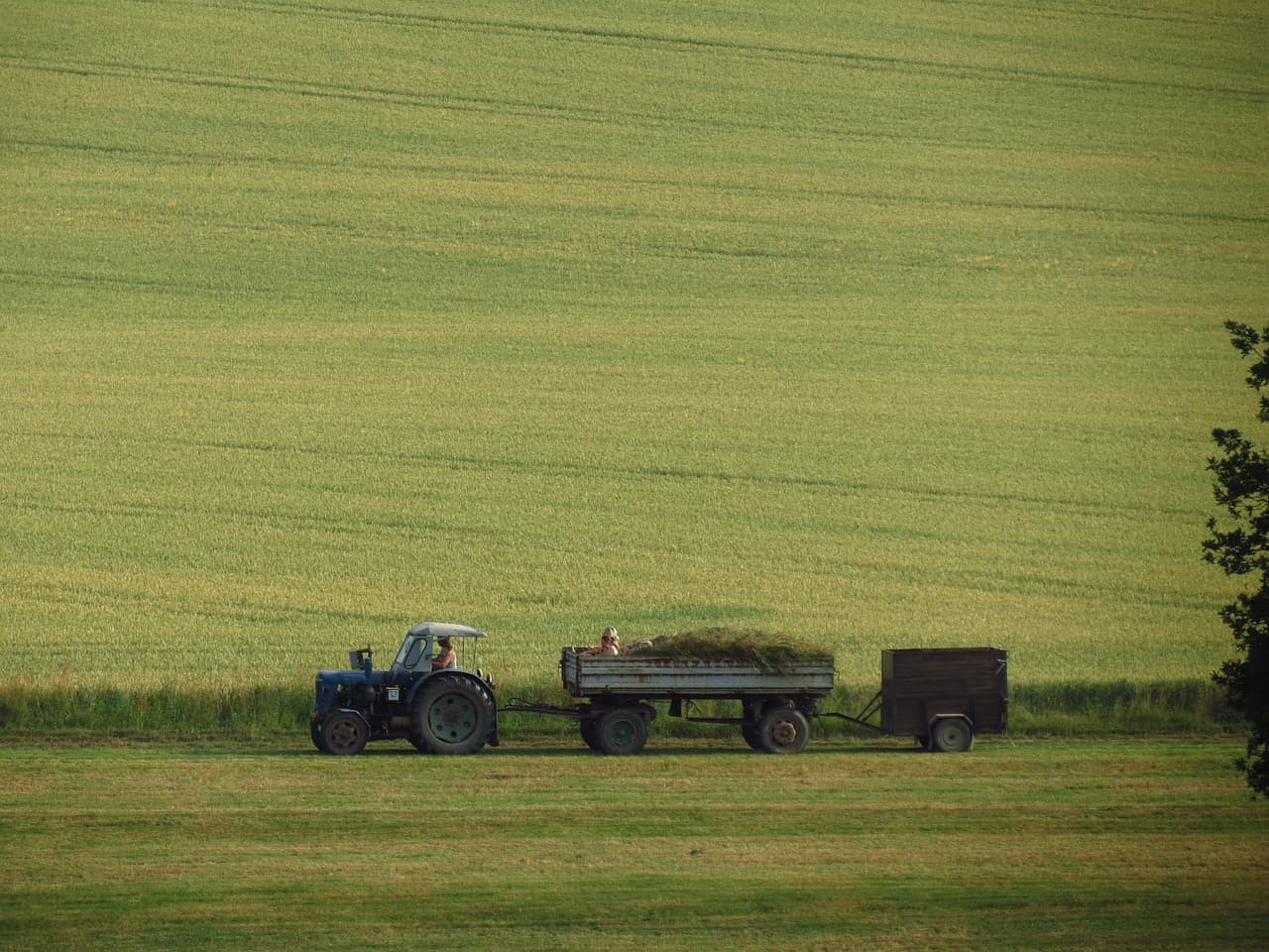AI 로봇과 스마트 센서를 활용한 정밀 농업(Precision Farming) 완전 해부