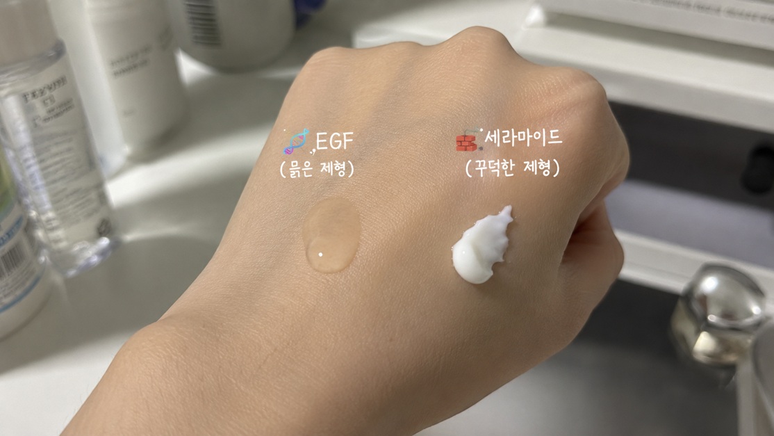 EGF와 세라마이드 크림 제형 차이를 손등 위에서 비교한 사진으로 묽은 제형과 꾸덕한 제형을 확인하는 모습