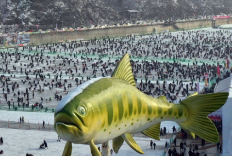 화천산천어축제