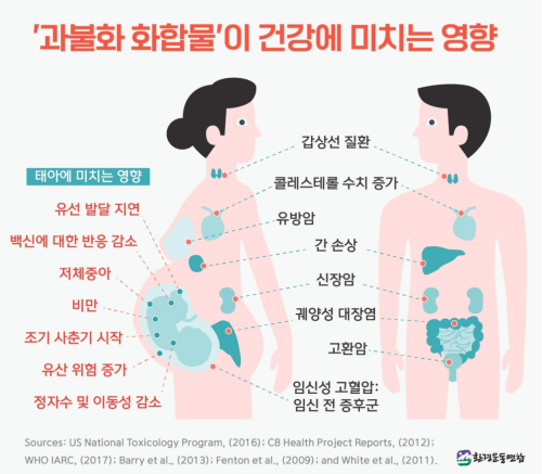 과불화화합물이 사람의 건강에 미치는 영향 (출처: 환경운동연합 2021.11. 8)