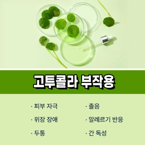 고투콜라 부작용