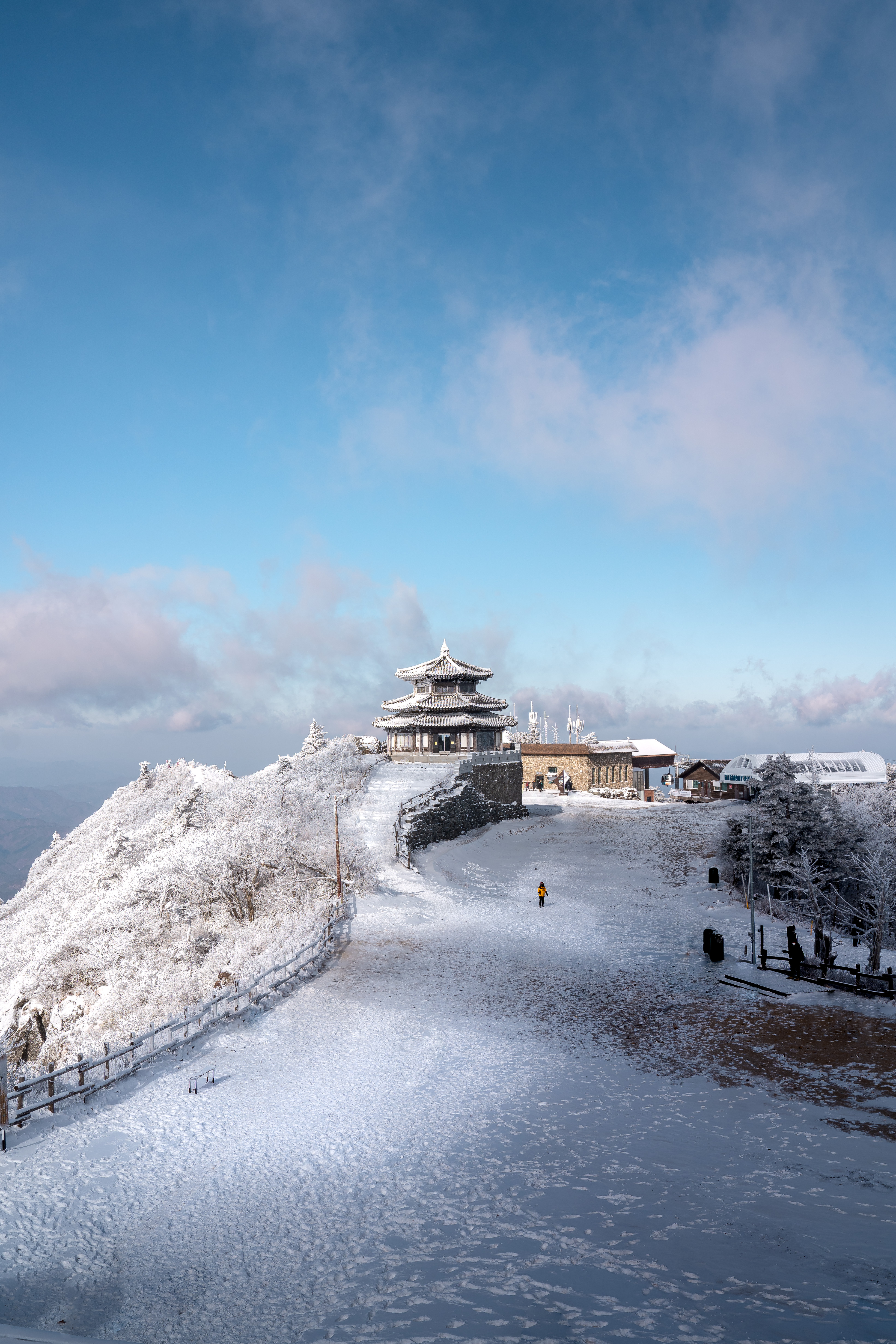 Alpha 7 III ㅣ SEL2470GM ㅣ@hansfoto