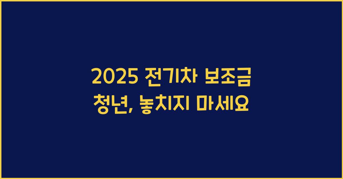 2025 전기차 보조금 청년