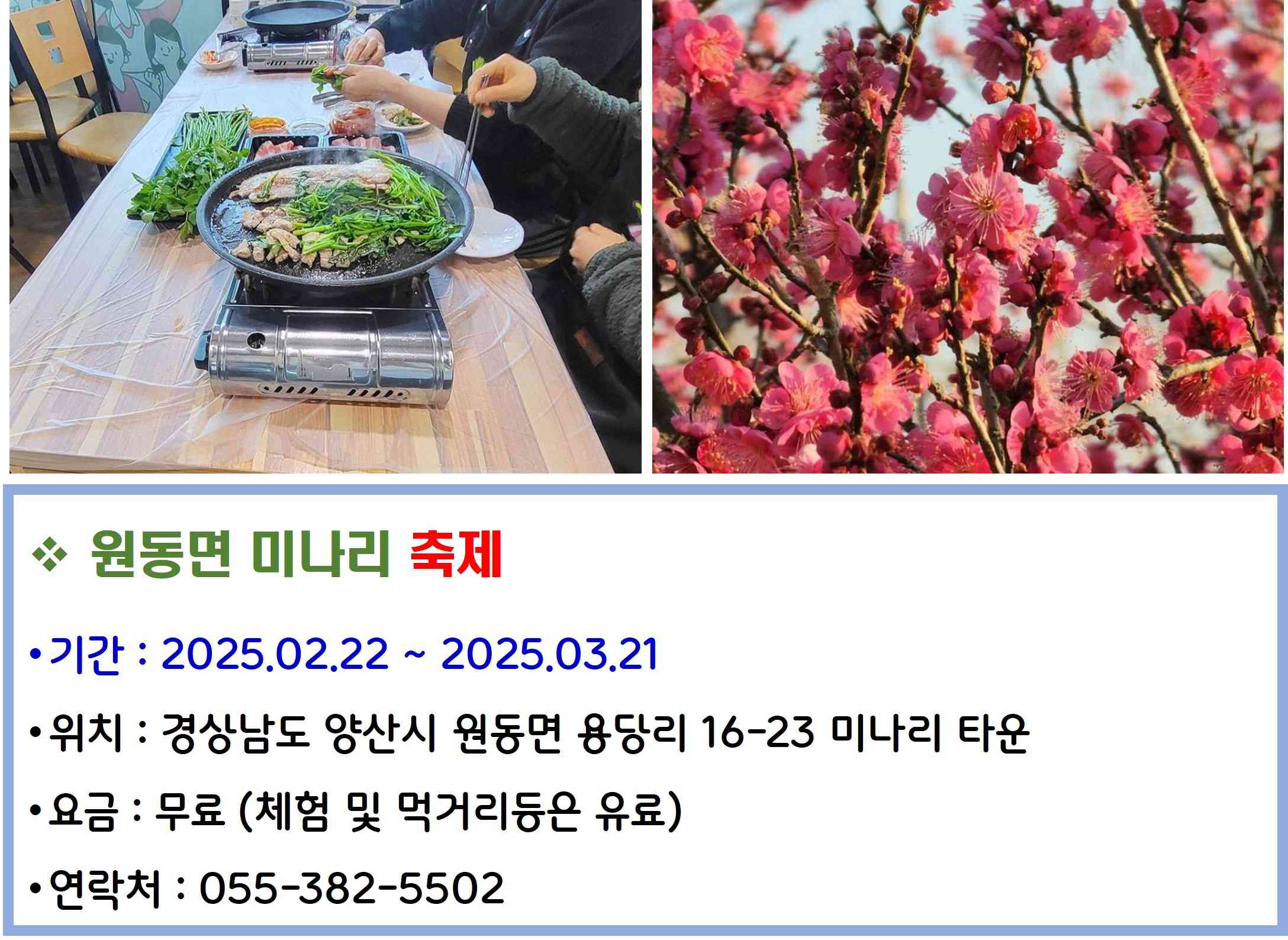 원동면 미나리 축제