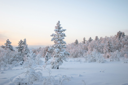 백일해 증상, 예방접종, 감기와 구별하는 방법