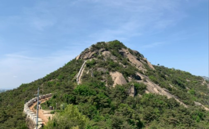 인왕산 산불 진화 98% 소식