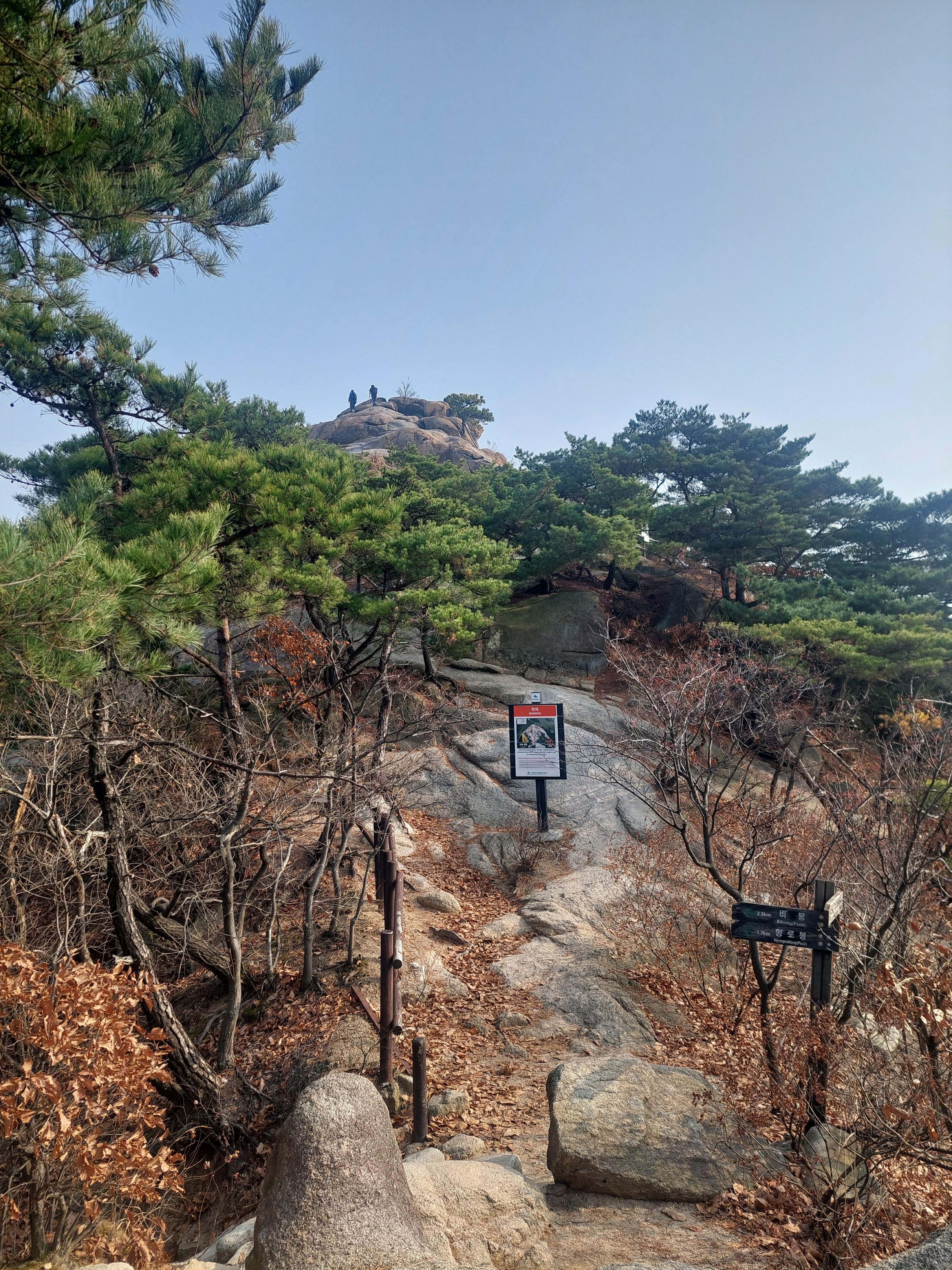 비봉