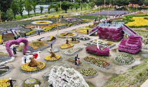 5월 강추 꽃 축제