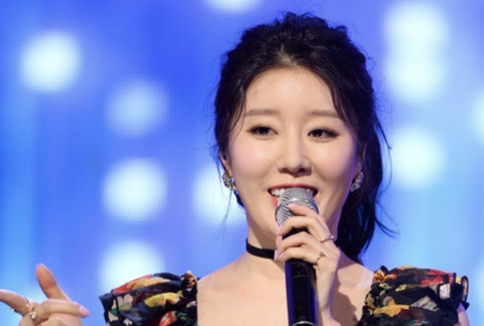 나비 무대활동