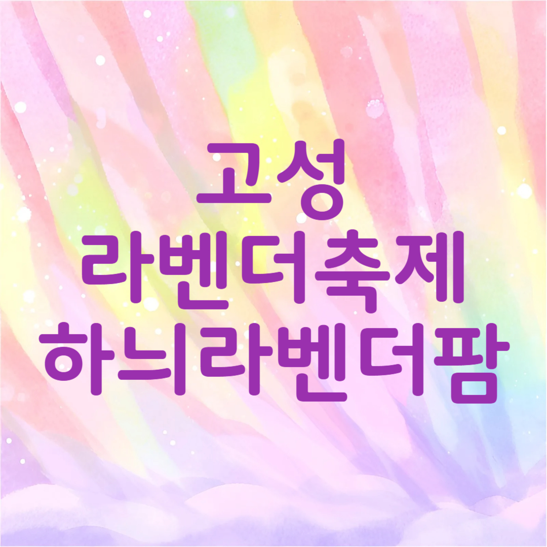 고성 라벤더 축제 하늬라벤더팜