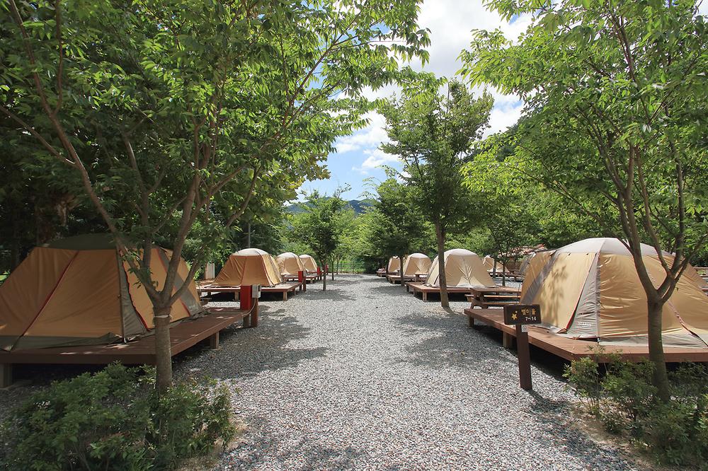 제천 하늘뜨레 서울캠핑장 예약 및 이용후기