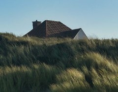 청년월세 한시 특별지원 신청 자격