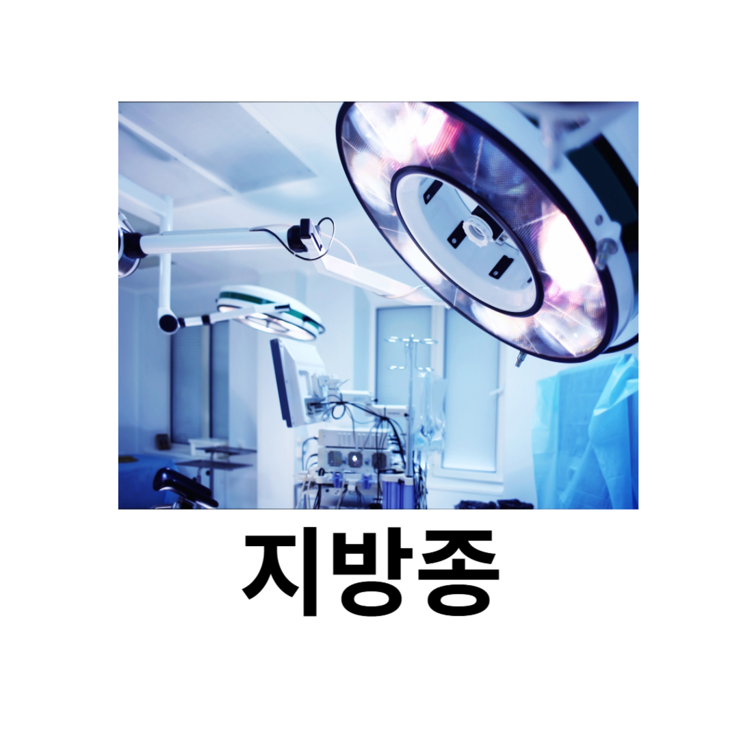 지방종과 관련된 사진입니다.