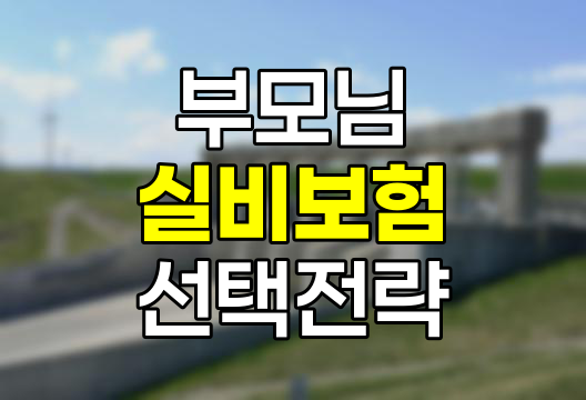 부모님 실비보험 선택 전략