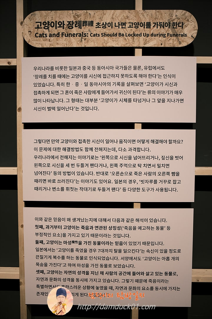 귀엽고 요망한 고양이
