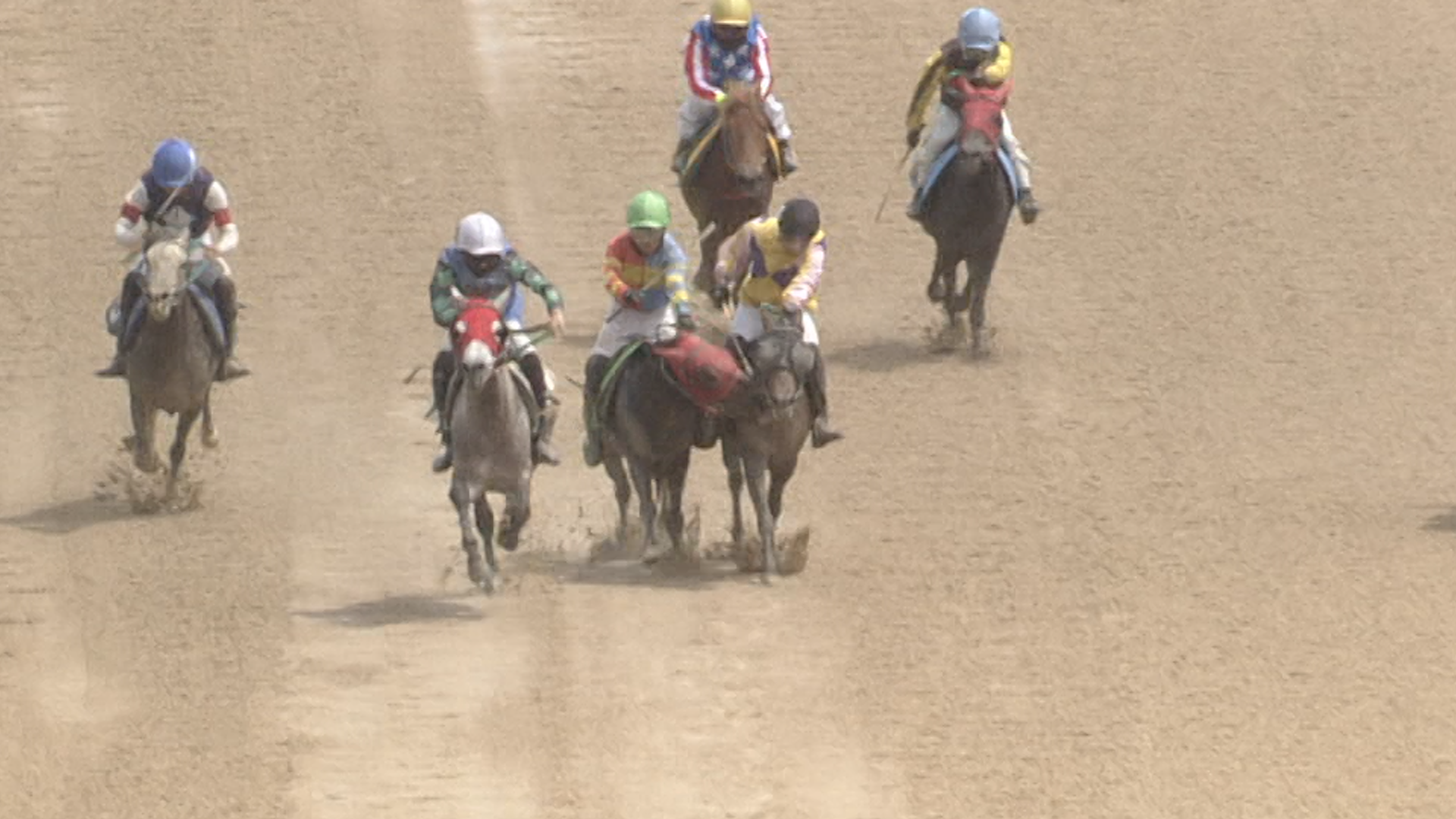 가운데 연두색 모자 6번 기수가 기승한 제주마 '정정당당'이 검은색 모자 4번마의 목을 깨무는 모습