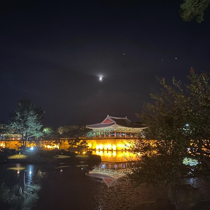 경주-동궁과-월지-야경