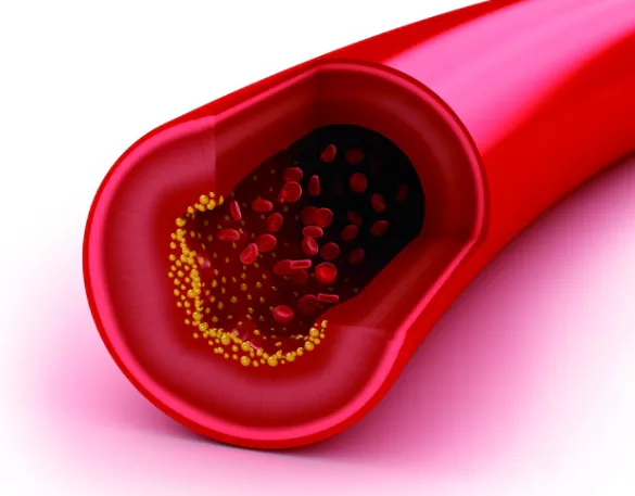 콜라겐의-효능-콜라겐-부작용-건강