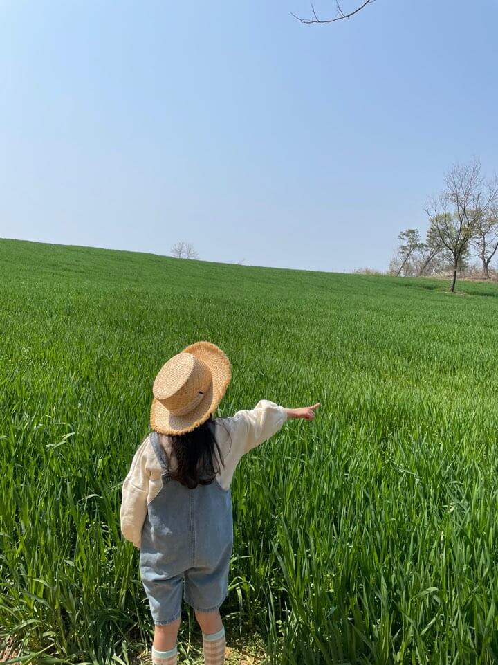 카페-피어라-청보리밭-모습