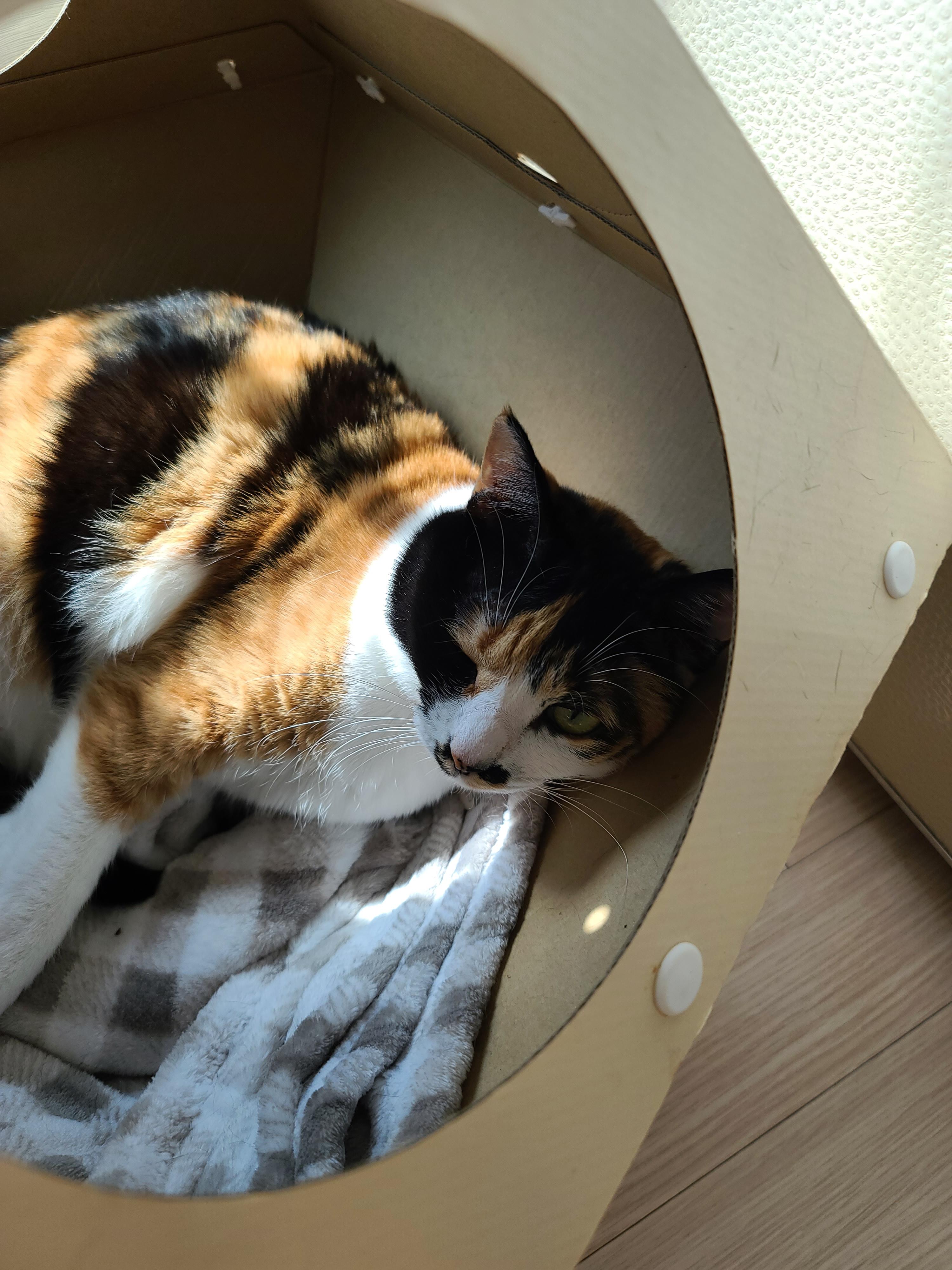 오늘은 간략한...신세한탄..(기집애야 뭐든좀 잘 먹어줄래?ㅠ_ㅠ)