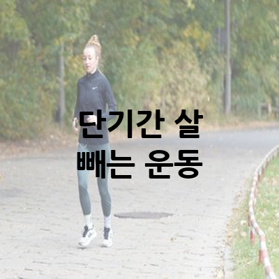 단기간 살 빼는 효과적인 운동법