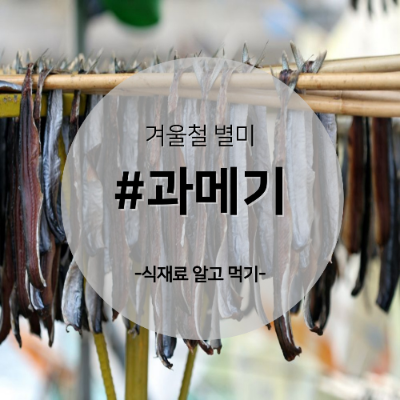 과메기