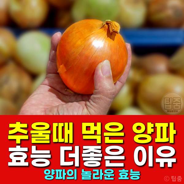 양파 효능,양파껍질 끓인물 효능,뇌졸중에 좋은 음식