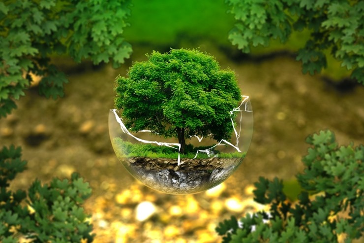 깨진-구슬-안에-나무