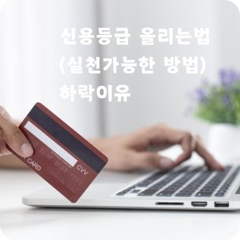 신용등급 올리는법 하락이유