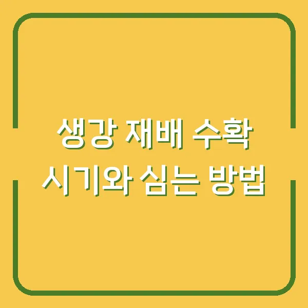 생강 재배 수확 시기와 심는 방법