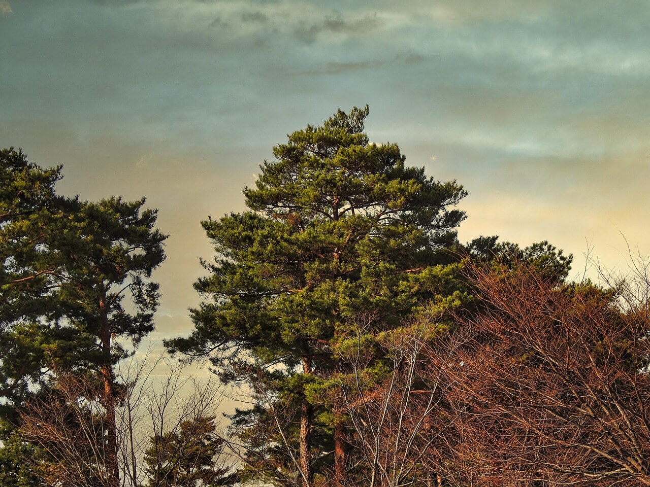 의성 산불 피해 가계·중소기업을 위한 금융지원