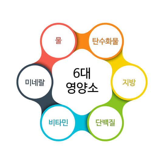 앉았다-일어나면-어지러움