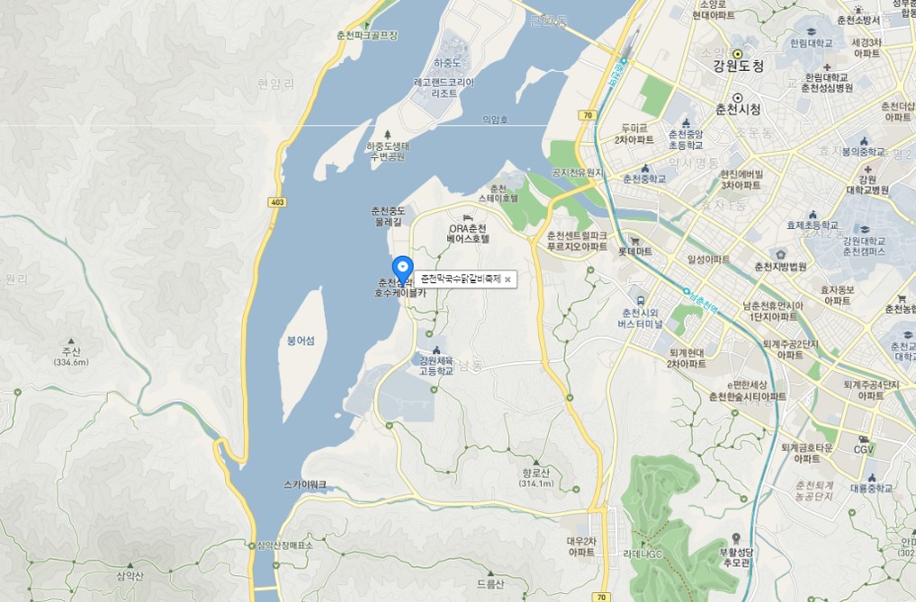 춘천막국수닭갈비축제