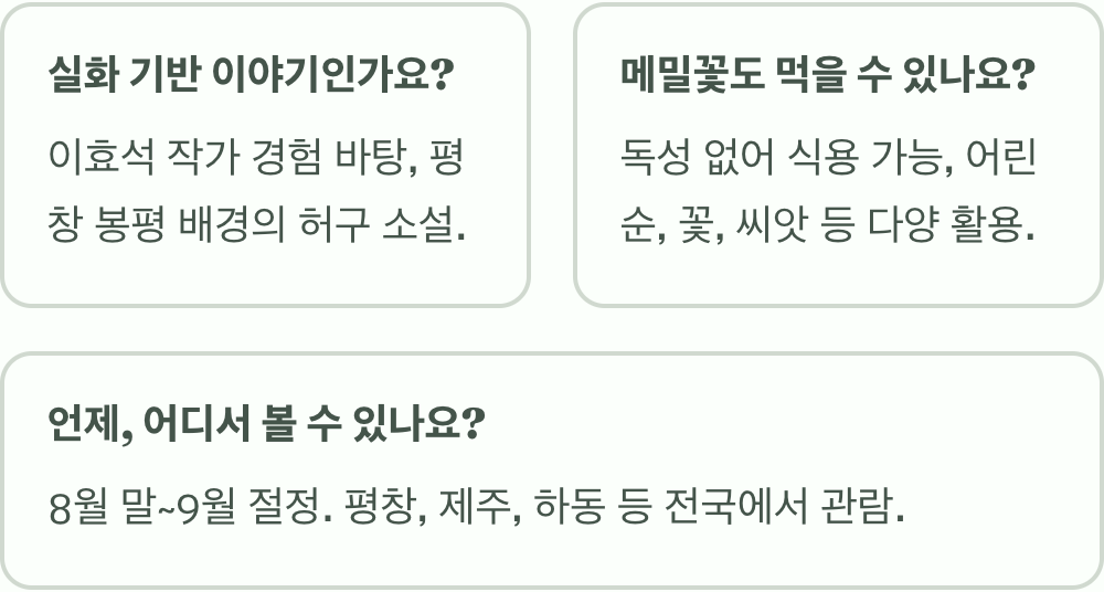 메밀꽃 꽃말과 상징적 의미 총정리
