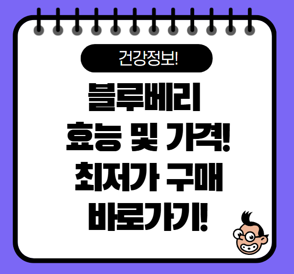 블루베리 효능과 가격, 최저가 구매 방법