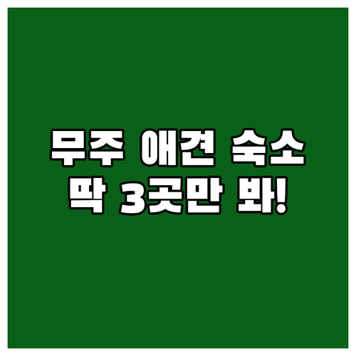 무주 애견 동반 여행 숙소 베스트 3..