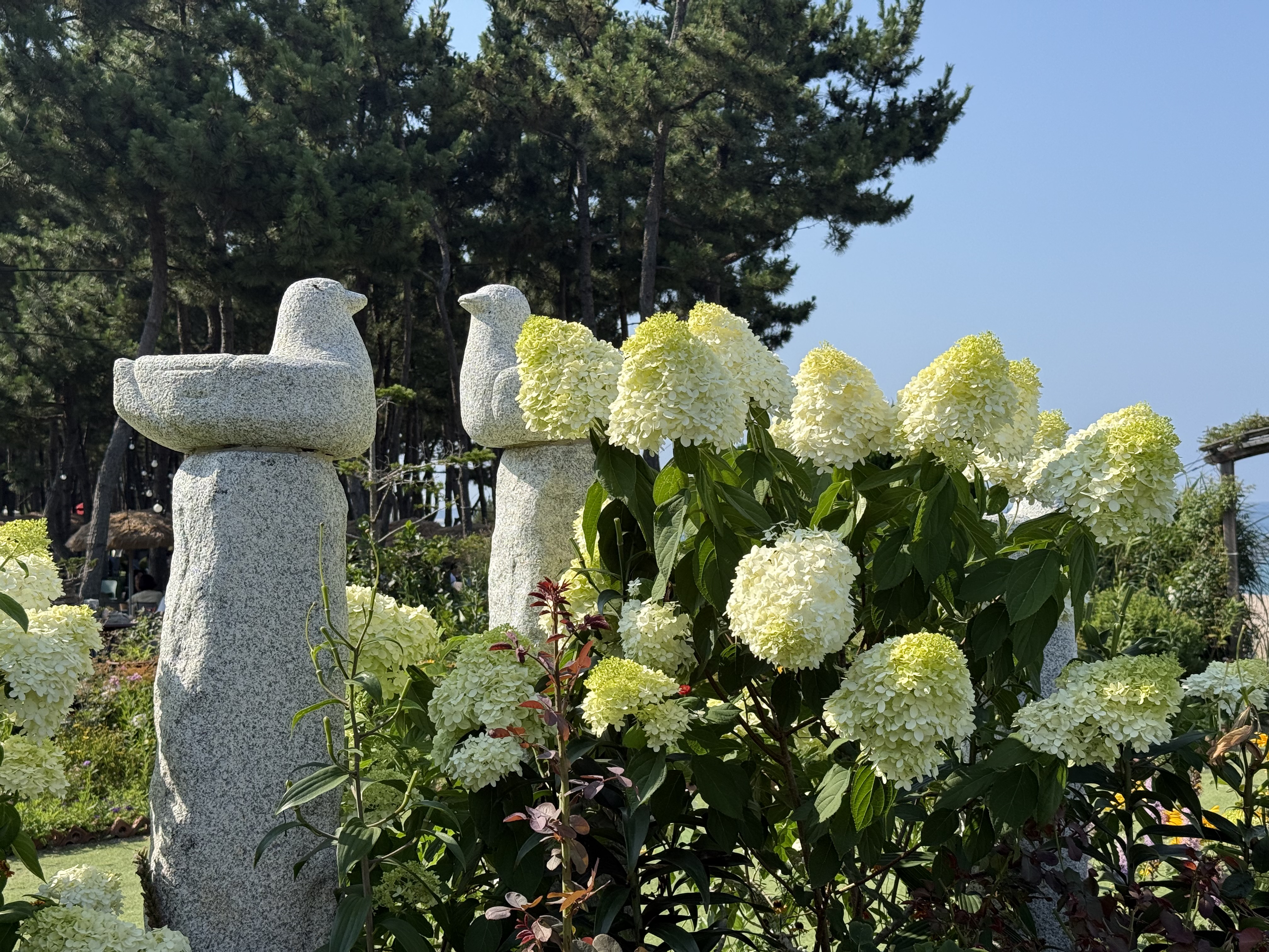 속초 바다정원카페 정원