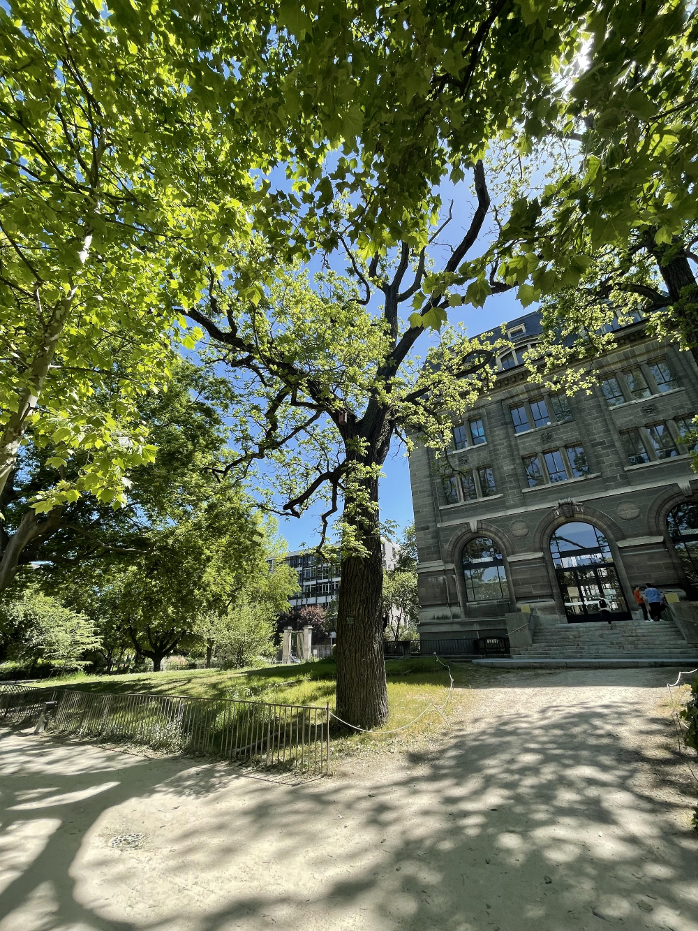 파리 식물원 : Jardin des Plantes