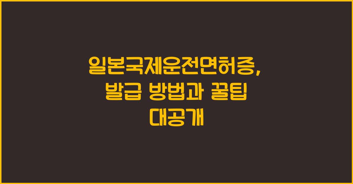 일본국제운전면허증