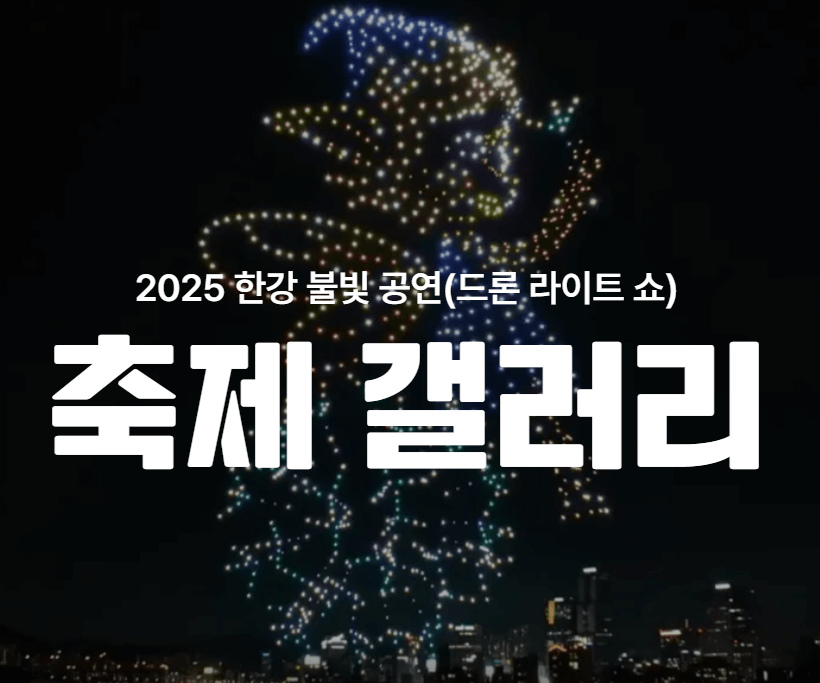 2025 한강 드론라이트쇼