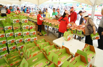 퇴촌 토마토 축제 행사 일정_5