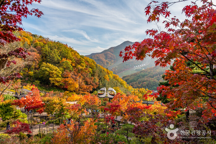 경기도 광주시 화담숲 가을 단풍