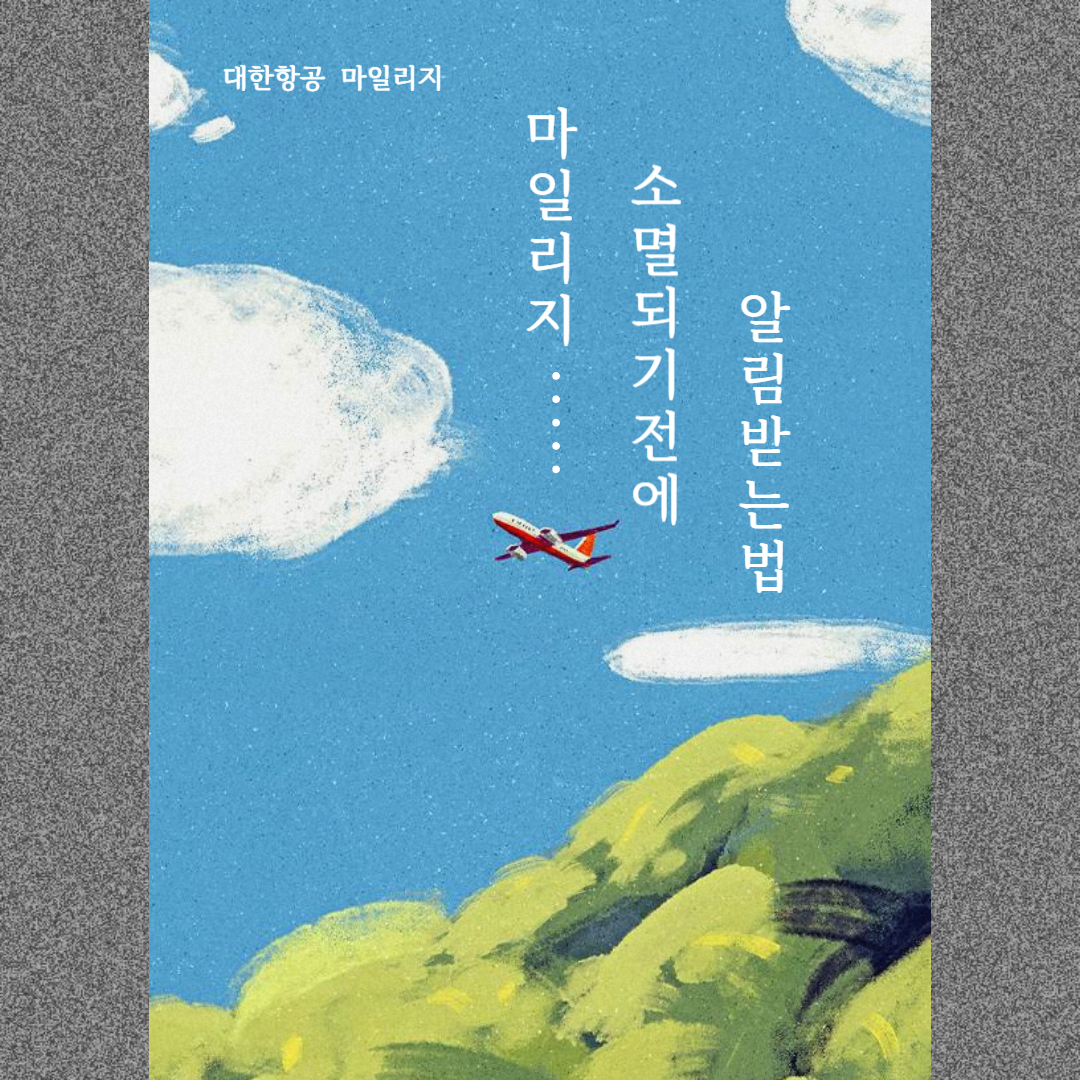 대한항공 마일리지