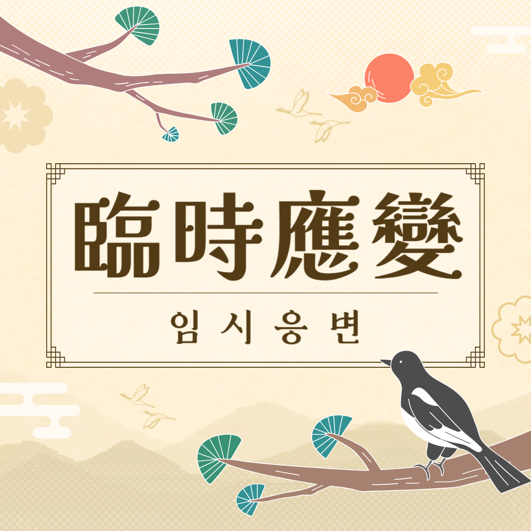 임시응변(臨時應變) 뜻, 유래, 예문, 비슷한 말