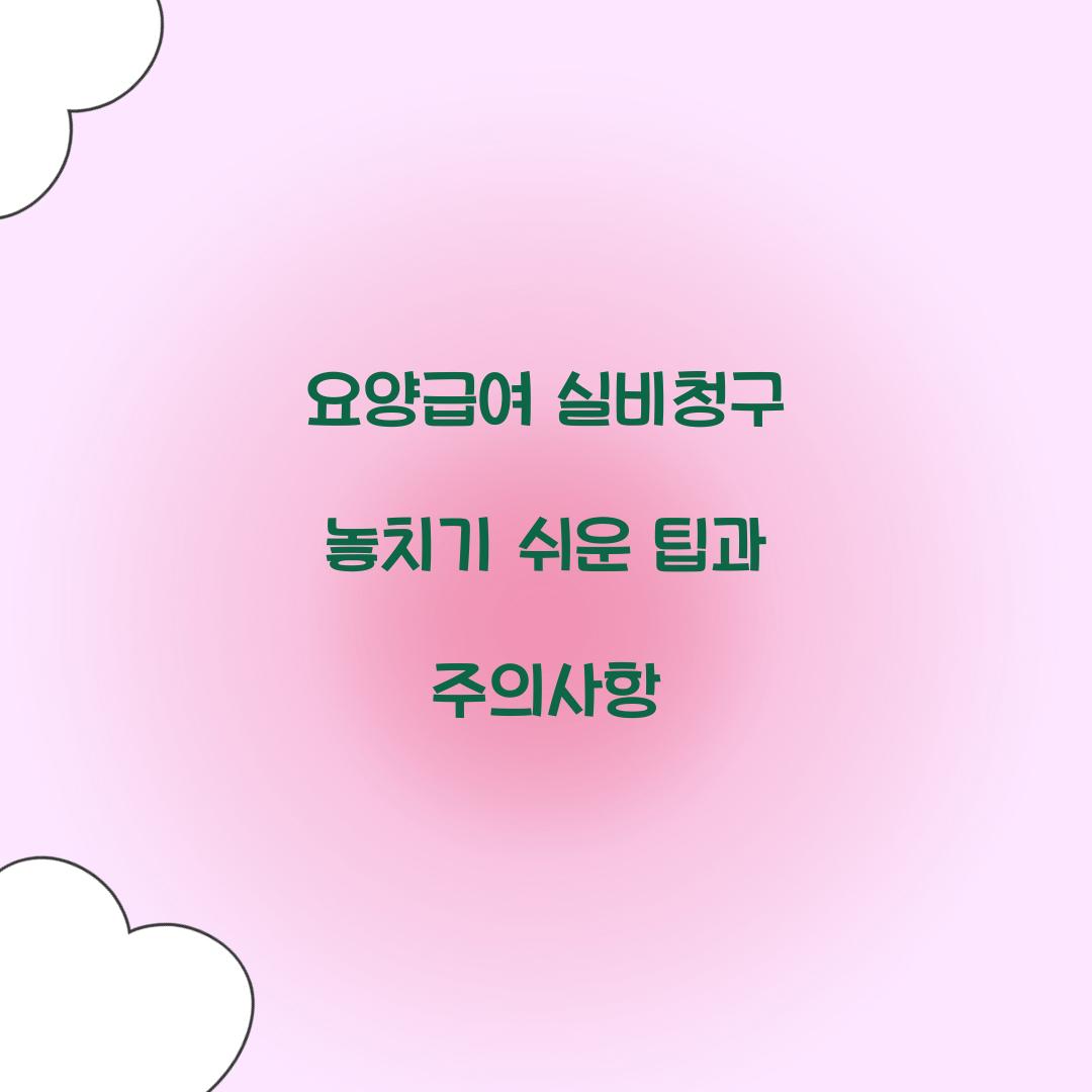 요양급여 실비청구