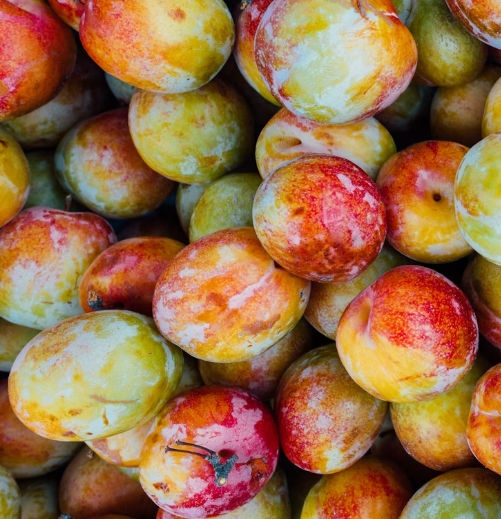 자두 효능 부작용 고르는법 칼로리