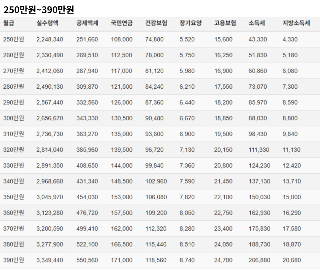 2025년 연봉 실수령액