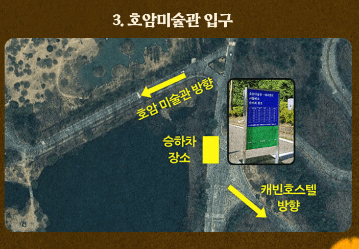  에버랜드 은행나무 숲